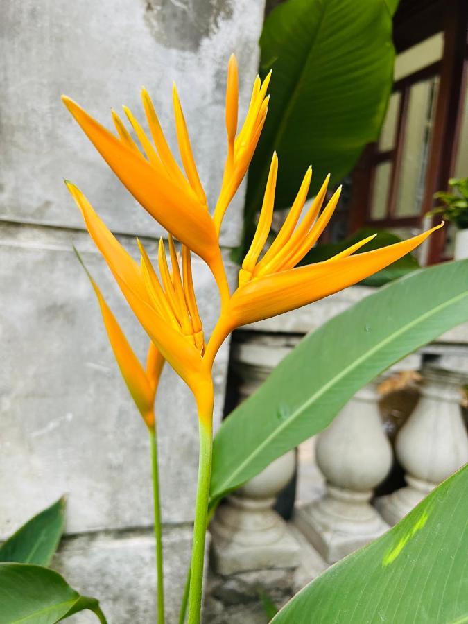 Maison Vu Tri Vien Hue Bagian luar foto